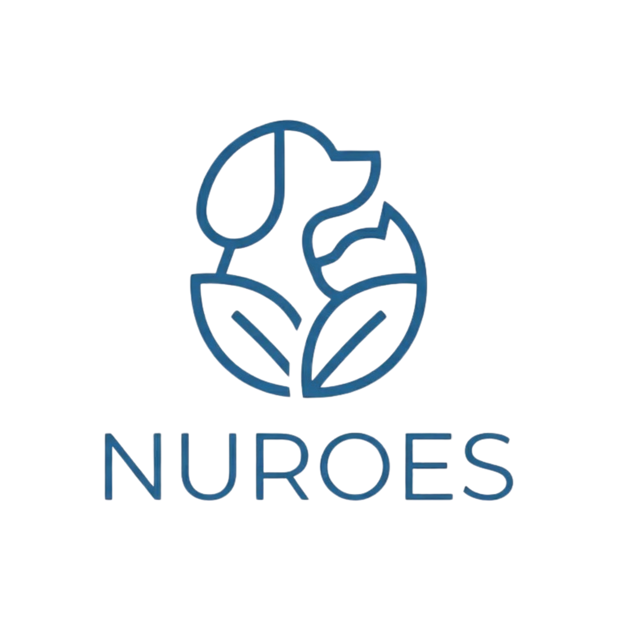 Nuroes UG (haftungsbeschränkt)