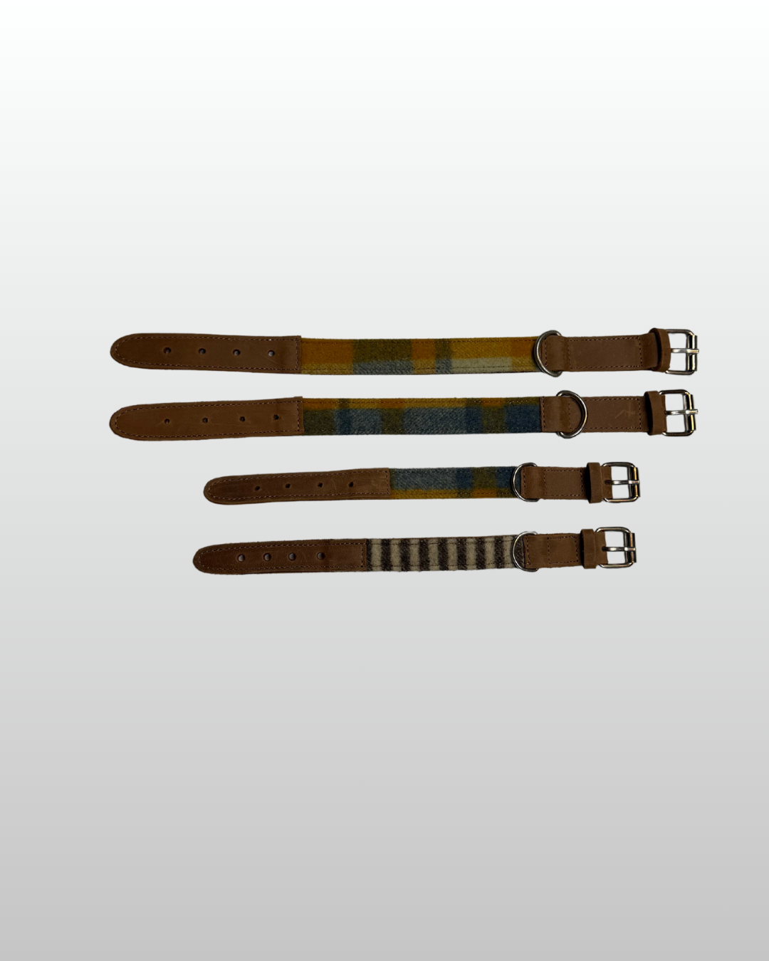 Halsband Hund walk leder